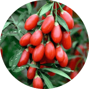 goji